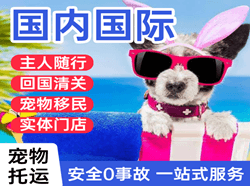 湘西空运国际宠物托运 【国